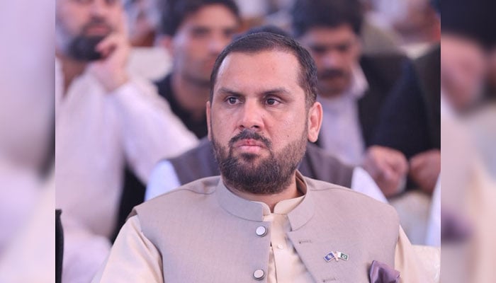 PTI leader and Khyber Pakhtunkhwa Minister for Higher Education Meena Khan Afridi looks on  in this image. — Facebook@IMeenaKhanOfficial/File