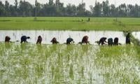 SAB Urges Irsa To Restore Sindh’s Water Supply Amid Peak Agricultural Demand