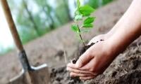World Environment Day Discussion Stresses Climate Action For Pakistan’s Future