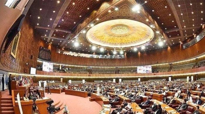 NA suspends PTI-backed MNA for violating House sanctity