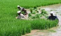 Agriculture Growth Nearly Doubles To 2.9pc