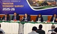 Economic Survey: Three Pakistans