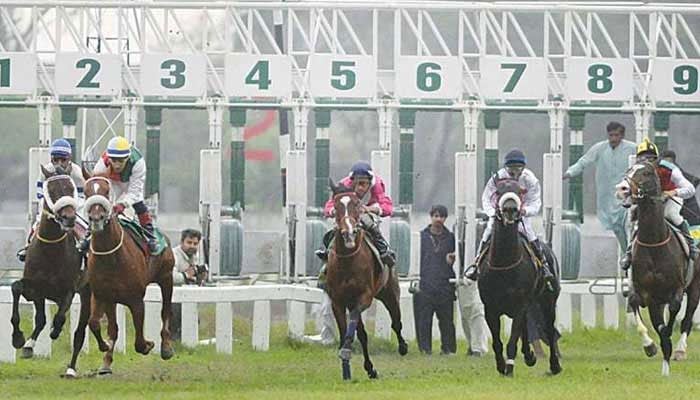 A representative image of a horse race. — APP/File