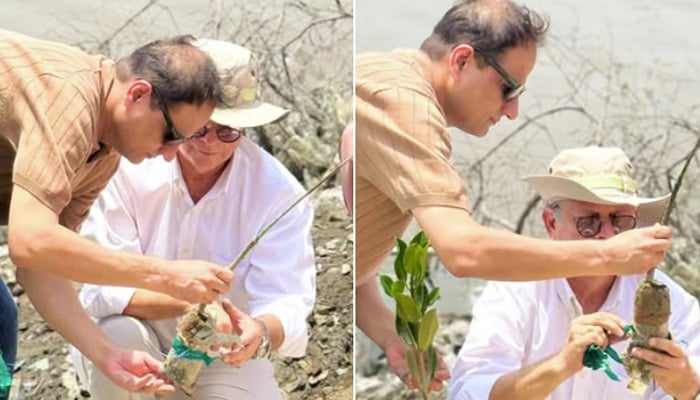 Karachi Mayor Barrister Murtaza Wahab inaugurates mangrove and tree plantation campaign at Shaheed Benazir Bhutto Park. — Facebook/@barristermurtazawahabofficial
