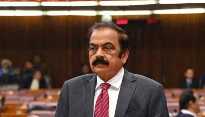 PML-N leader Rana Sanaullah speaks in the National Assembly session on December 17, 2024. — X/@NAofPakistan