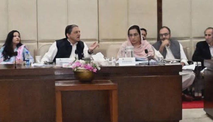 Senator Saleem Mandviwalla chairing the meeting of the Senate Standing Committee on Finance and Revenue, June 13, 2026. —Facebook@Pakistansenate
