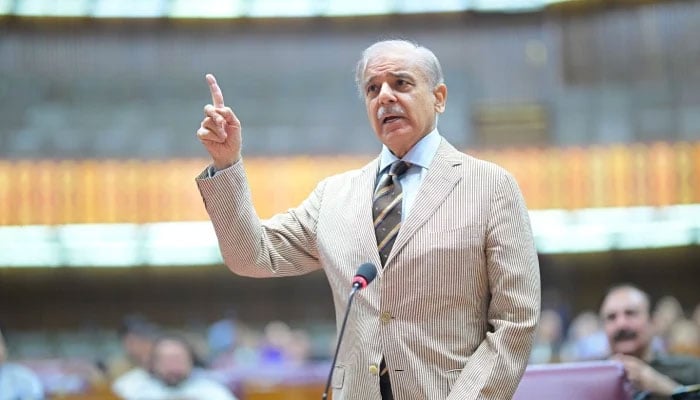 Prime Minister Shehbaz Sharif addresses the National Assembly in Islamabad on June 13, 2026. — X@PakPMO