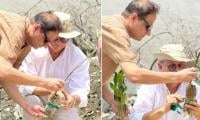 Mayor Launches Mangrove And Tree Plantation Campaign