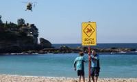 Shark Attack Pushes Australian State To Review Drone Curbs