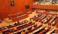 Senate Panel Opposes Tax Exemption On Import Of PIA Aircraft, Parts