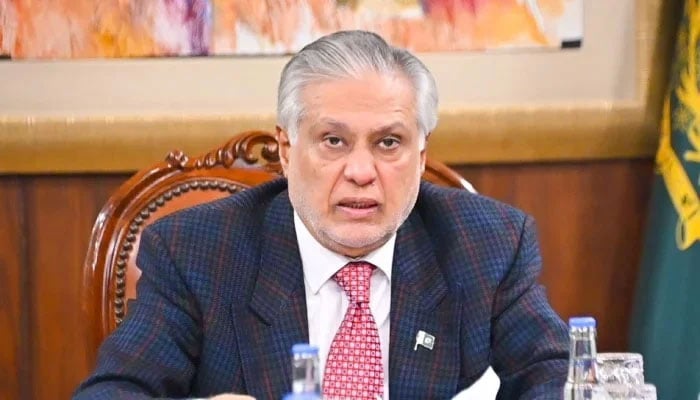 Deputy Prime Minister and Foreign Minister Senator Ishaq Dar virtually addresses the Economic Cooperation Organisation (ECO) Council of Ministers (COM) meeting, November 28, 2025. — X/@ForeignOfficePk