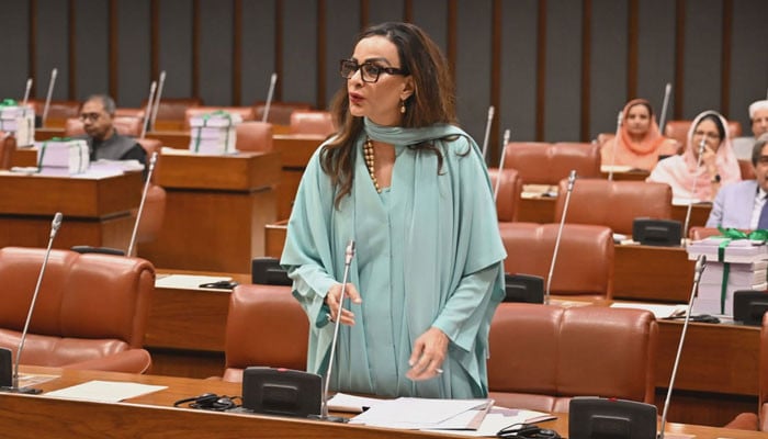 Senators flag rising debt, absence of exit roadmap