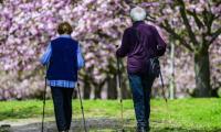 German Working-age Population To Shrink Dramatically: Study
