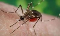 Dengue Prevention Measures Discussed