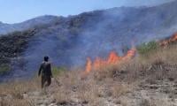 Rallies Staged To Sensitise Torghar Residents About Forest Fires