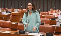 Senators Flag Rising Debt, Absence Of Exit Roadmap