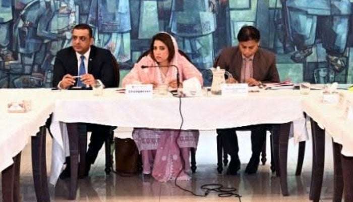 Senator Palwasha Mohammad Zai Khan chairing the meeting of the Senate Standing Committee on Information Technology and Telecommunication, at the Parliament House. —Facebook@Pakistansenate