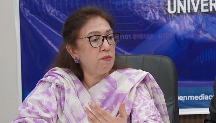 A senior journalist and founder of the Women Media Centre, Fauzia Shaheen. — Facebook@womenmediacenter/File