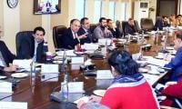 ECC Approves Continuation Of Gas Supply To Fertiliser Plants