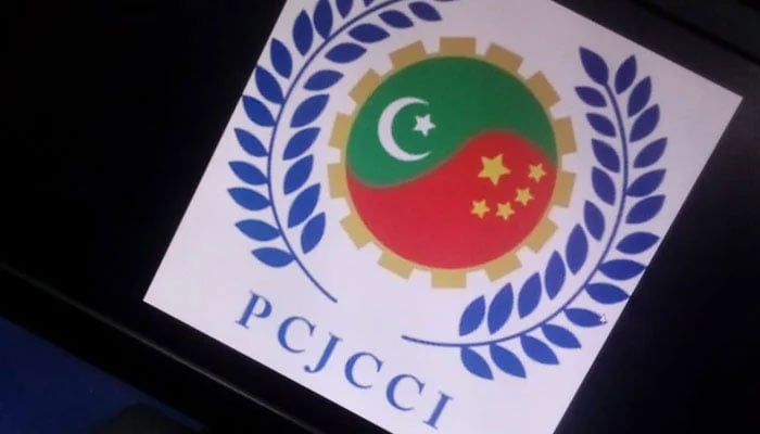 PCJCCI logo can be seen on a computer screen, image taken on November 5, 2024. — TheNews