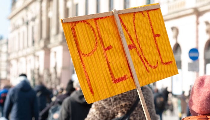 This representational image shows a person holding a placard with the word PEACE written on it during a public demonstration. — Unsplash/File