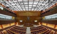 PPP Leader Raises Voice In Senate For South Punjab Province