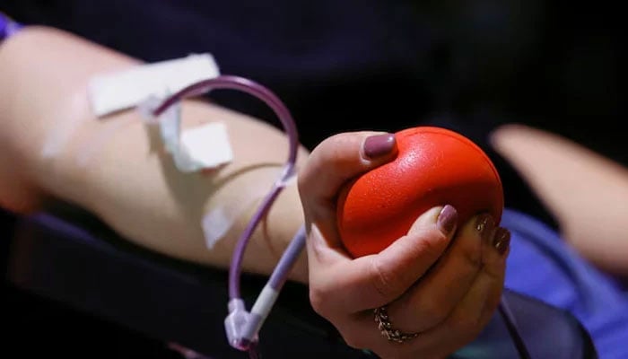 This representational image shows a woman squeezing a ball to keep blood flowing while donating blood. — Reuters/File