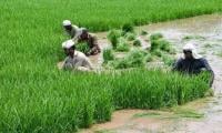 Climate Change Threatens Agriculture