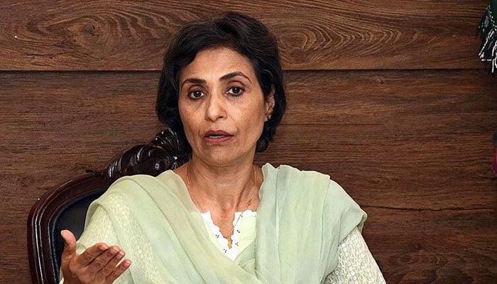 Federal Ombudsperson Fauzia Viqar. — APP/File