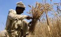 Haripur Farmers To Visit Thailand To Learn Self-sufficiency Model