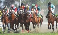 A Card Of Five For Today’s Lahore Races
