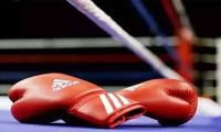 International Boxing Coaching Ends On A High Note