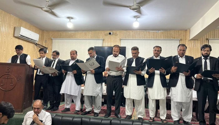 Office-bearers of the Insaf Lawyers Forum (ILF) taking oath on June 20, 2026. — Facebook@SarwarMuzaffarShah