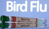 Australia Confirms First Case Of H5N1 Bird Flu