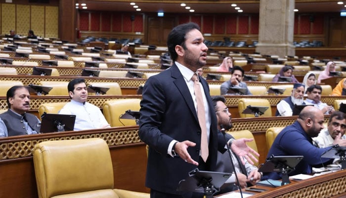 Punjab Minister for Energy and Sports Malik Faisal Ayub Khokhar addresses the Punjab Assembly session on June 22, 2026. — Facebook@mpafaisal161