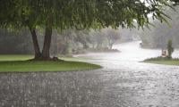 Rain Turns Weather Pleasant In Swat