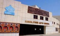 Painting Exhibition Opens At Arts Council