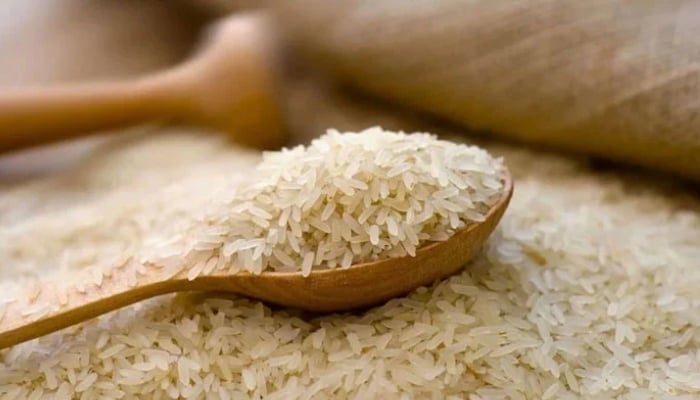 Representational image of rice. — APP File