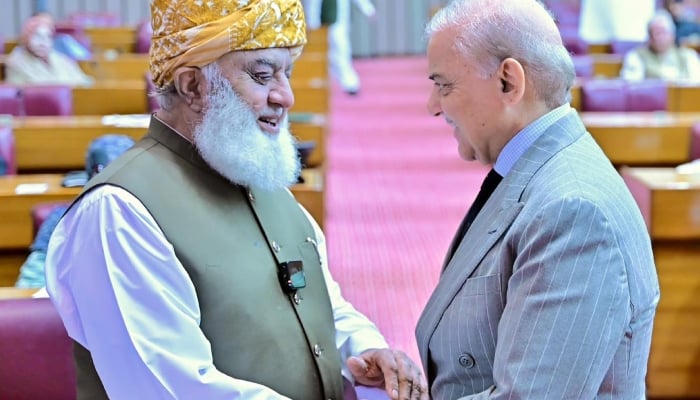 Prime Minister Shehbaz Sharif and Jamiat Ulema-e-Islam-F chief Maulana Fazlur Rehman shake hands in the National Assembly. — PID/File