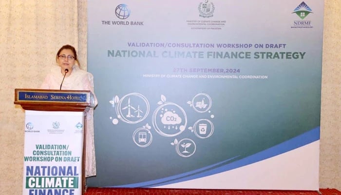 Secretary Ministry of Climate Change, Aisha Humera Chaudhry addressing a workshop on National Climate Finance Strategy on Sepmteber 27, 2024. — APP