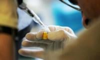 A $30 Billion Cancer Breakthrough Is Under Threat From Global Conflicts