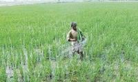 ‘Abiana Hike Burdens Farmers But May Save Water System’