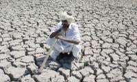 Climate Change, Water Shortage Affecting Chilli, Other Crops In Tail-end Areas