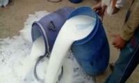PFA Destroys 2,800 Liters Of Adulterated Milk