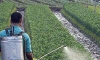 TDAP Holds Seminar For Rice Stakeholders