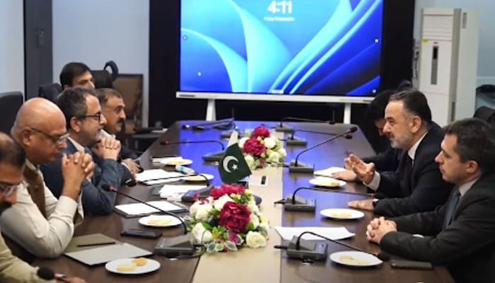 Pakistan invites Turkish investors to bid for Discos
