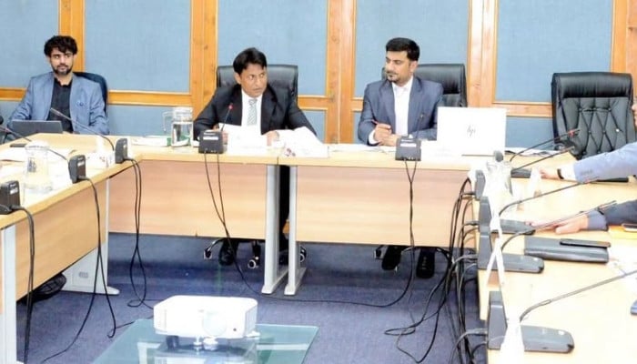Senate panel for gas, oil resources joint control by Centre, provinces