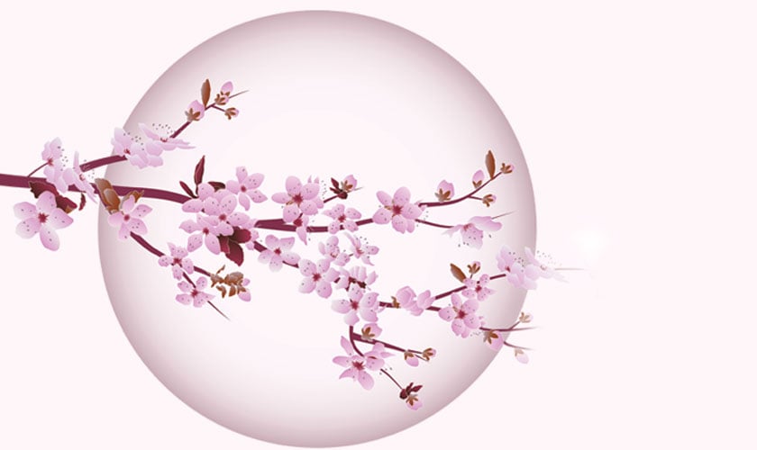 Finding inner peace – Japanese techniques to stop overthinking