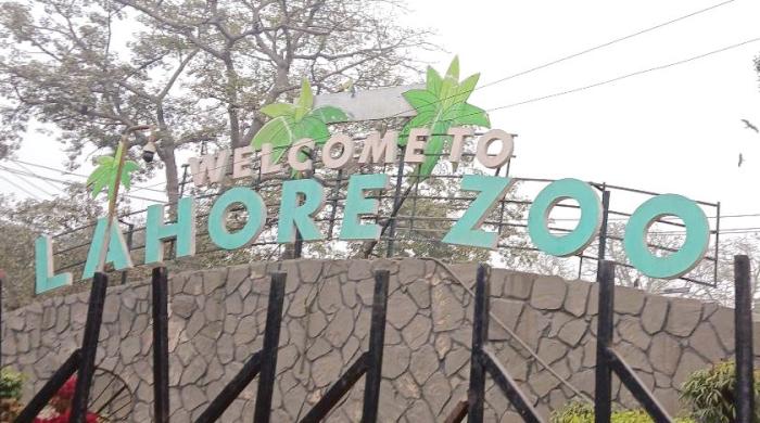 An un-fur-gettable day