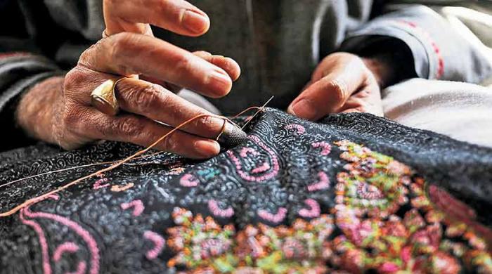 Silence Of Dal - Voice of crafts